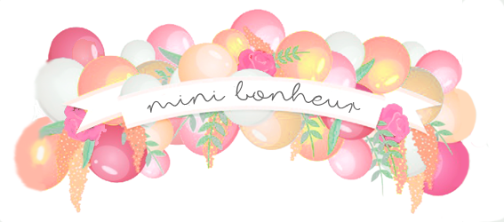 mini bonheur, blog, blogueuse, ambassadrice, la perle des loisirs